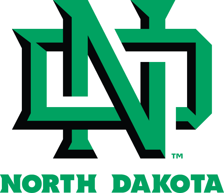North Dakota Fighting Hawks 2012-2015 Primary Logo diy iron on heat transfer